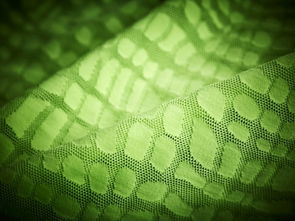 日用百貨 生活中的精致與實(shí)用